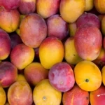 কেন আপনি রাসায়নিক মুক্ত আম বেছে নেবেন এই গরমে?