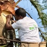 খাঁটি খেজুরের গুড়, গ্রামবাংলার স্বাদ ও সুস্থতার ছোঁয়া